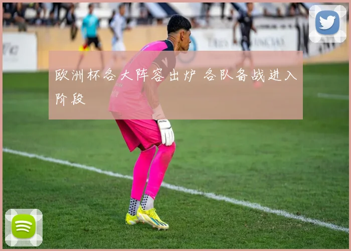 欧洲杯各大阵容出炉 各队备战进入阶段