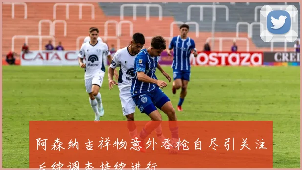 阿森纳吉祥物意外吞枪自尽引关注后续调查持续进行