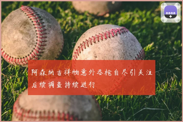阿森纳吉祥物意外吞枪自尽引关注后续调查持续进行