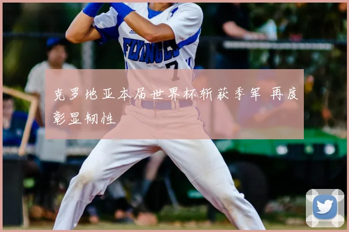 克罗地亚本届世界杯斩获季军 再度彰显韧性