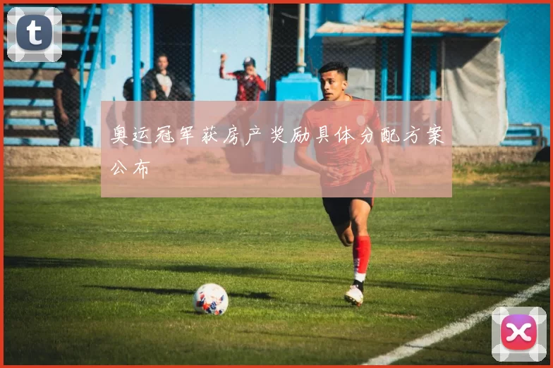 奥运冠军获房产奖励具体分配方案公布