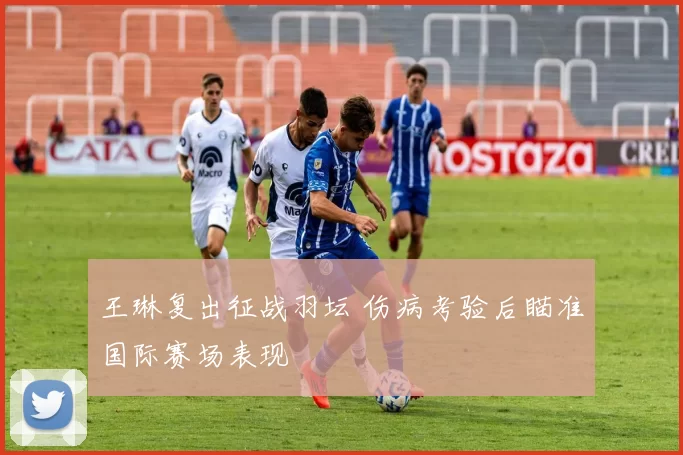 王琳复出征战羽坛 伤病考验后瞄准国际赛场表现