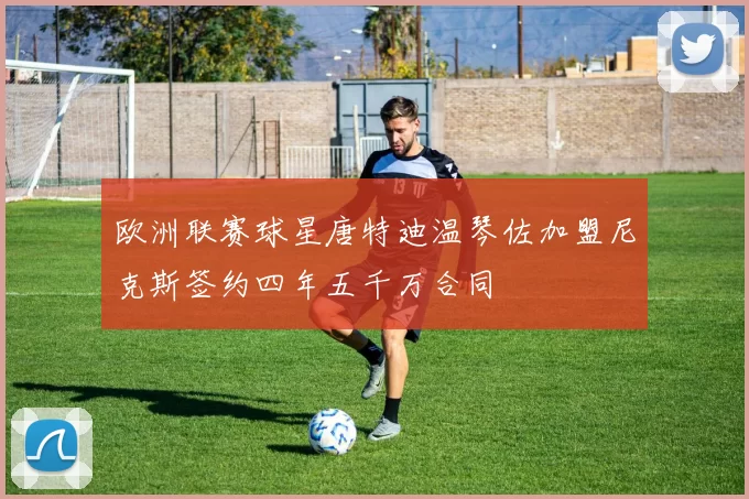 欧洲联赛球星唐特迪温琴佐加盟尼克斯签约四年五千万合同