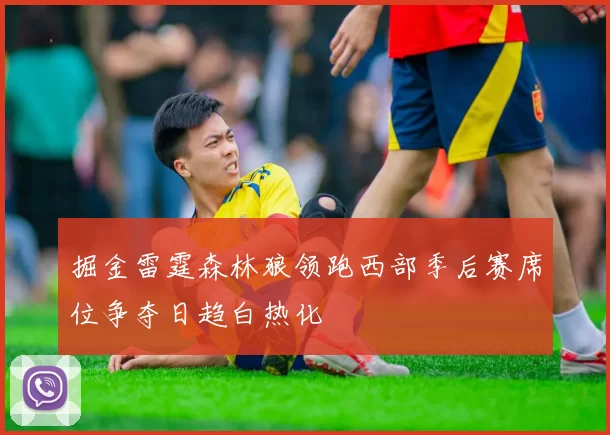 掘金雷霆森林狼领跑西部季后赛席位争夺日趋白热化